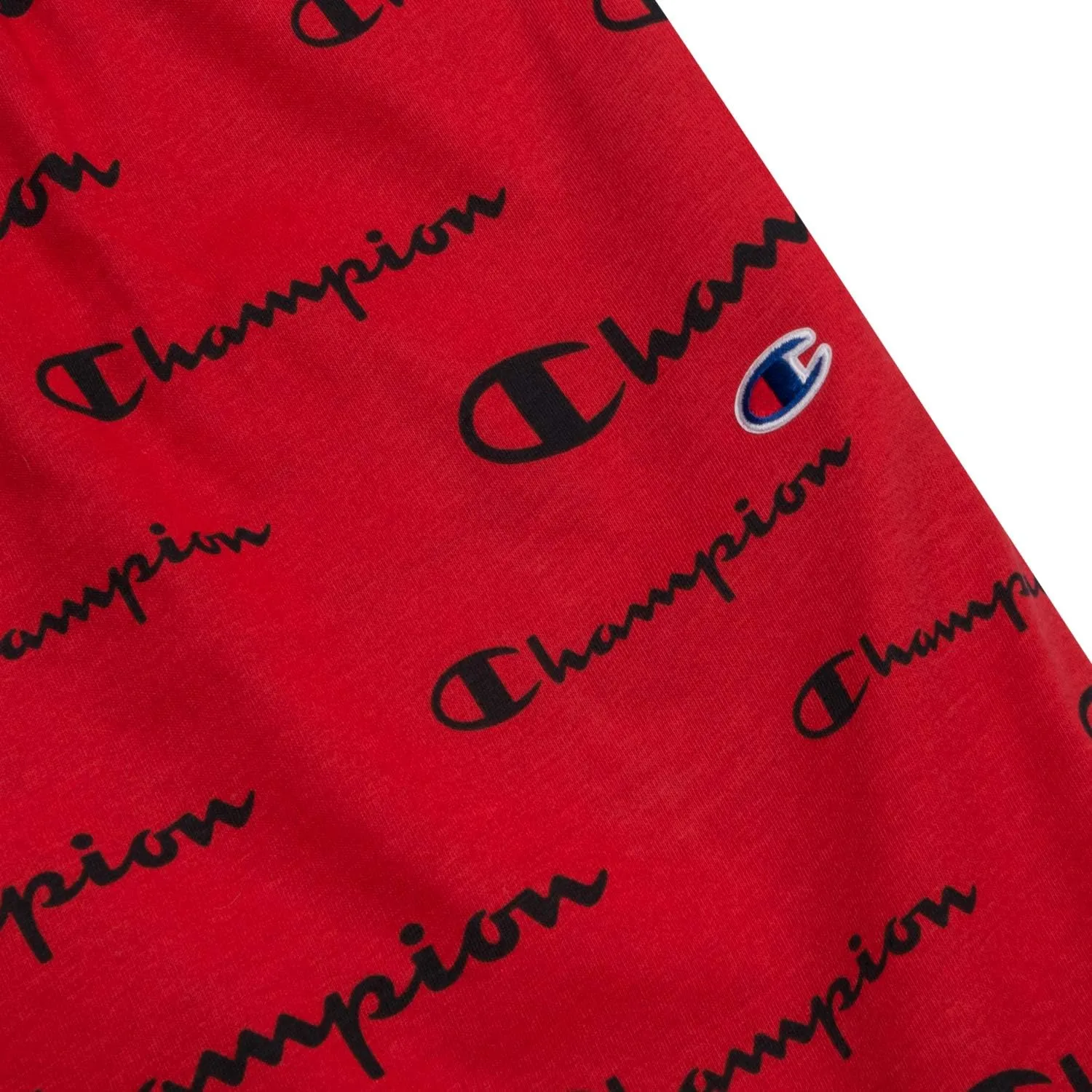 Champion Gym Shorts Big and Tall - All Over Print Mens Workout Athletic Shorts