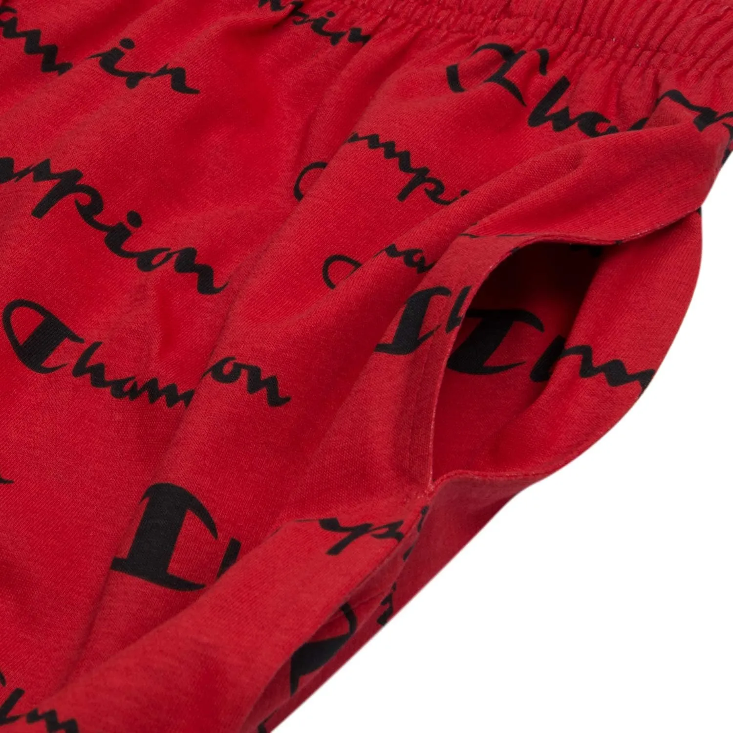 Champion Gym Shorts Big and Tall - All Over Print Mens Workout Athletic Shorts