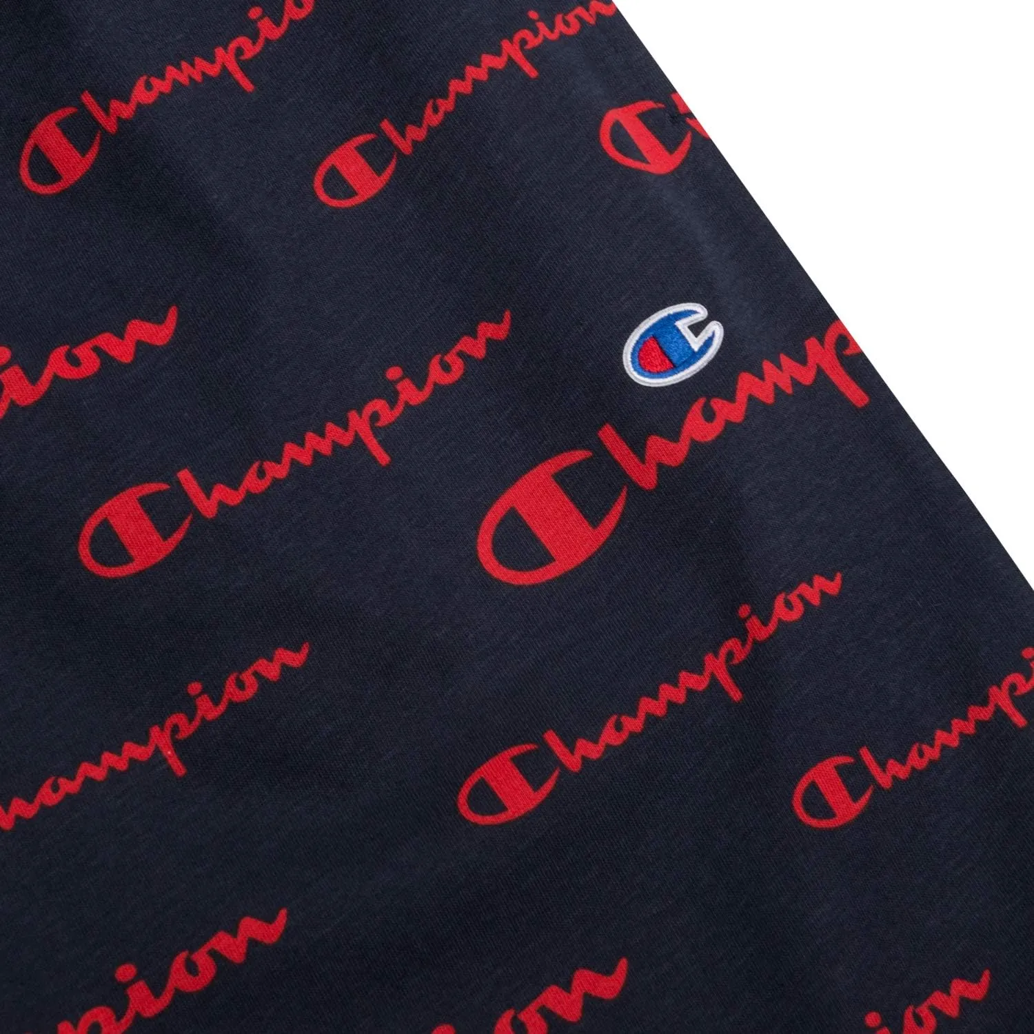 Champion Gym Shorts Big and Tall - All Over Print Mens Workout Athletic Shorts